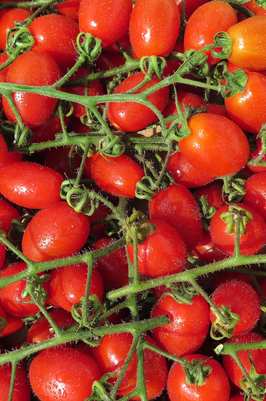 Cherry Tomatoes, 250g