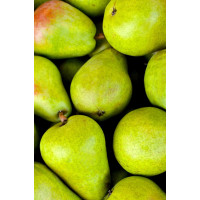 Pears, 500g